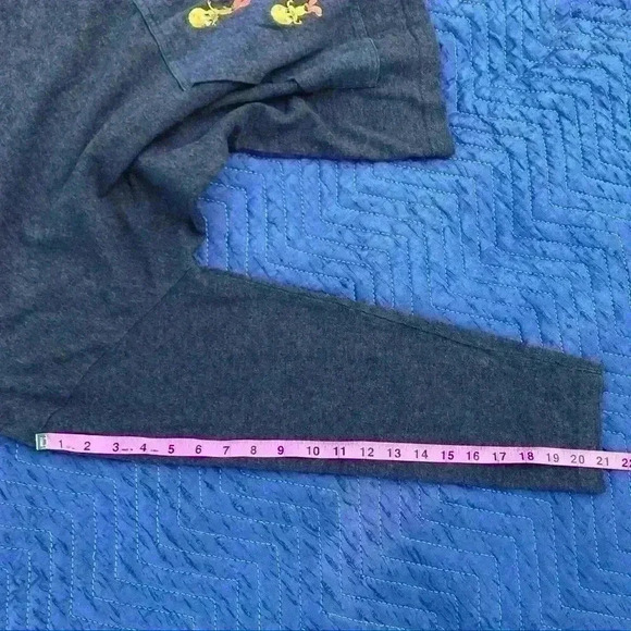 Tweety Gray Triple Tweety Warner Bros. Adult M Hoodie - Picture 7 of 7
